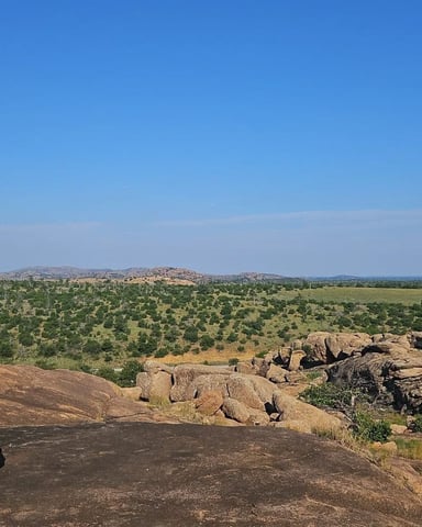 Wichita Mountains summer view