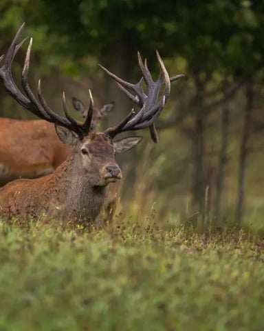 Hunting near the Wichita Mountains