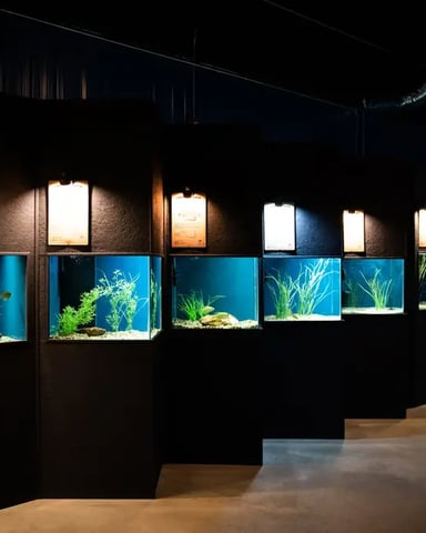Medicine Park Aquarium and Natural Sciences Center