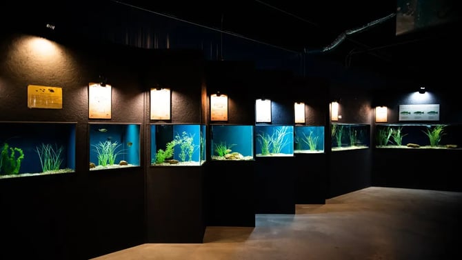 Discover Medicine Park Aquarium & Natural Sciences Center