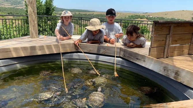 Family Fun in Medicine Park: Activities for All Ages
